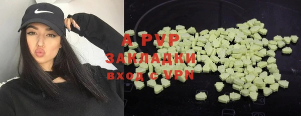 ГАЛЛЮЦИНОГЕННЫЕ ГРИБЫ Алексеевка