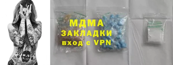 хмурый Алексин