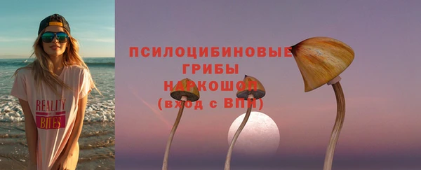 хмурый Алексин